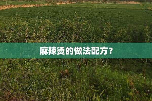 麻辣烫的做法配方？