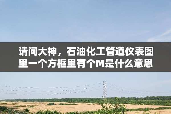 请问大神，石油化工管道仪表图里一个方框里有个M是什么意思（有图）？