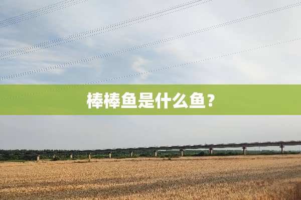 棒棒鱼是什么鱼？