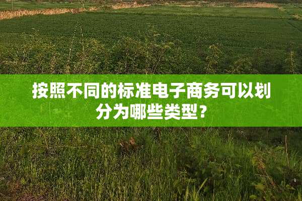 按照不同的标准电子商务可以划分为哪些类型？