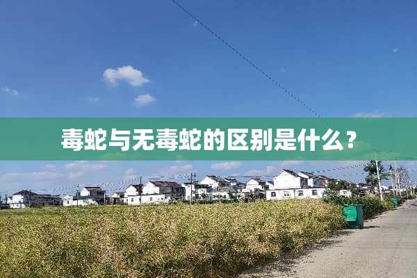 毒蛇与无毒蛇的区别是什么？