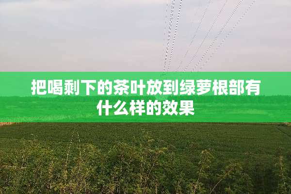 把喝剩下的茶叶放到绿萝根部有什么样的效果