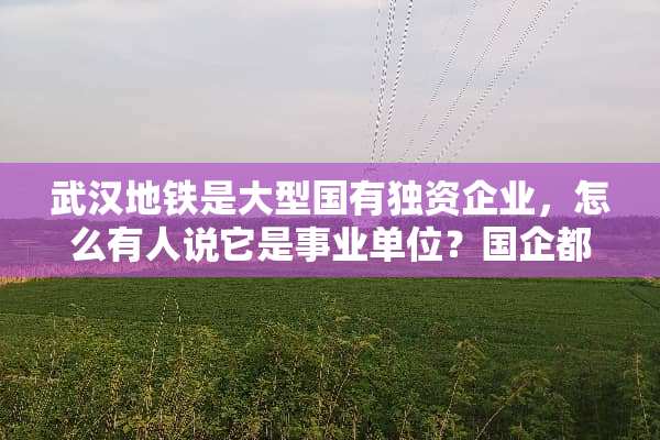 武汉地铁是大型国有独资企业，怎么有人说它是事业单位？国企都是事业单位么？