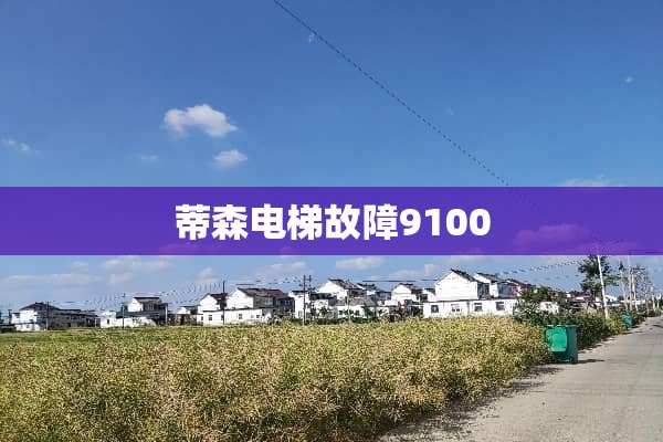 蒂森电梯故障9100