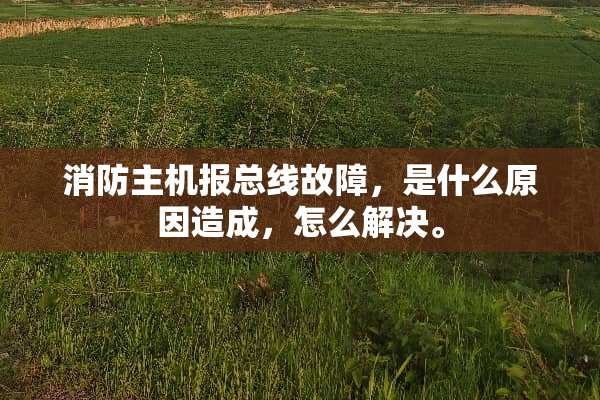 消防主机报总线故障，是什么原因造成，怎么解决。