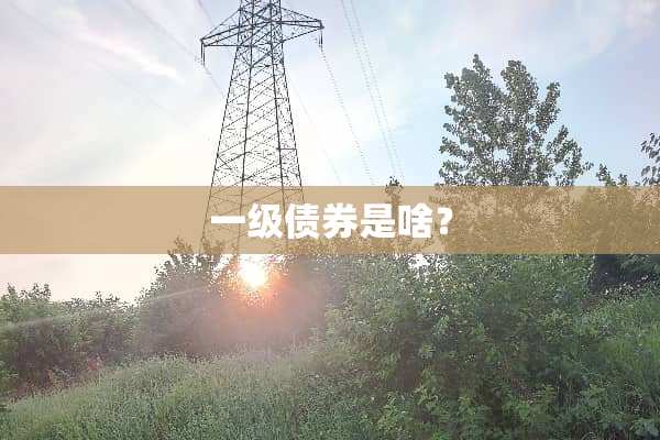 一级债券是啥？