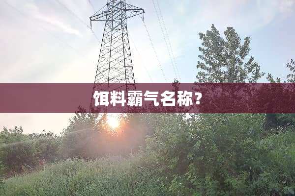 饵料霸气名称？