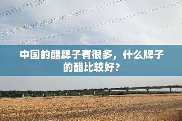中国的醋牌子有很多，什么牌子的醋比较好？
