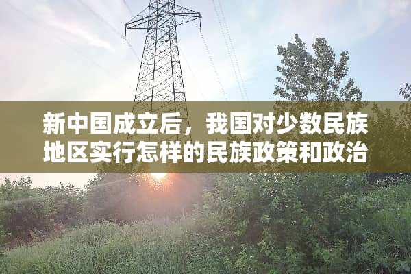 新中国成立后，我国对少数民族地区实行怎样的民族政策和**制度
