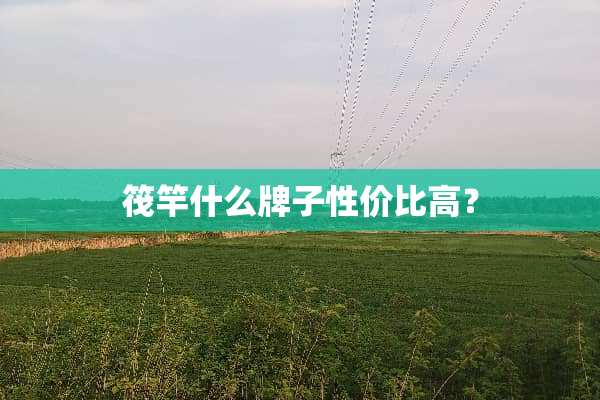 筏竿什么牌子性价比高？