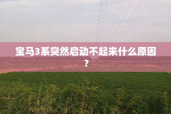 宝马3系突然启动不起来什么原因？