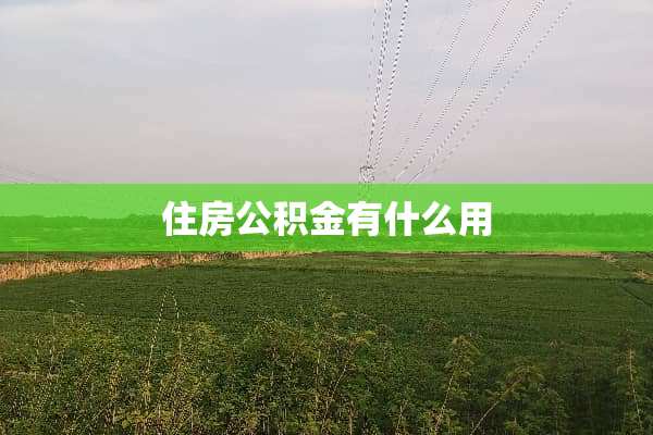 住房公积金有什么用