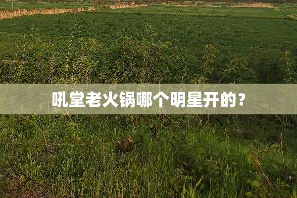 吼堂老火锅哪个明星开的？