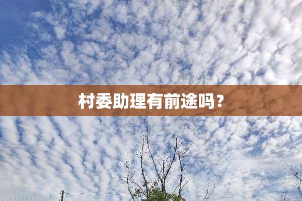 村委助理有前途吗？