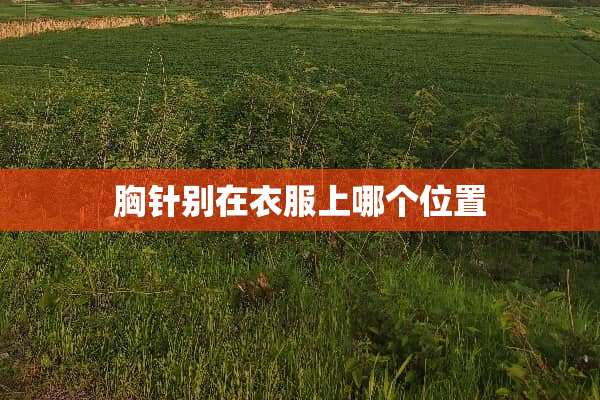 胸针别在衣服上哪个位置