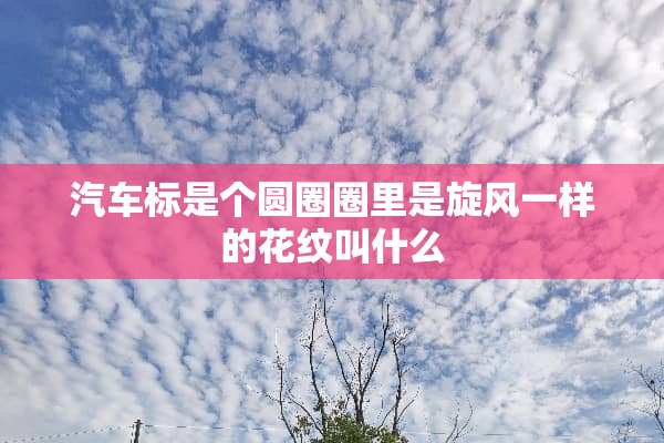 汽车标是个圆圈圈里是旋风一样的花纹叫什么