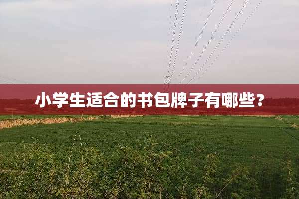 小学生适合的书包牌子有哪些？