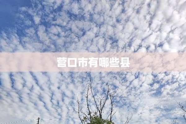 营口市有哪些县
