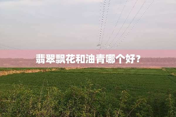 翡翠飘花和油青哪个好？