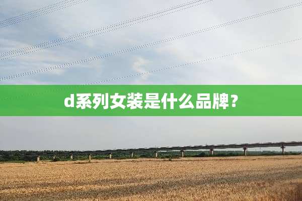 d系列女装是什么品牌？