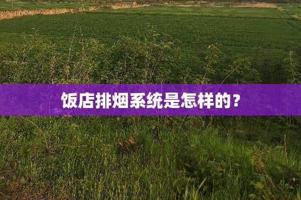 饭店排烟系统是怎样的？