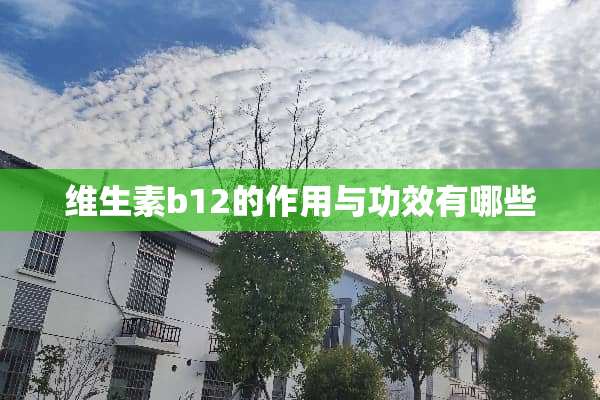 维生素b12的作用与功效有哪些
