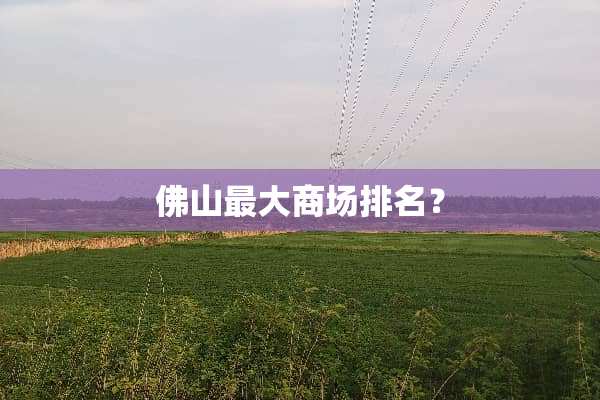 佛山最大商场排名？