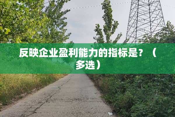反映企业盈利能力的指标是？（多选）