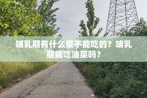 哺*期有什么菜不能吃的？哺*期能吃油菜吗？