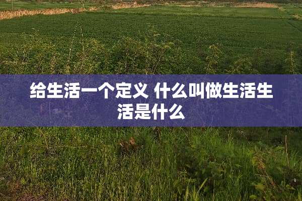 给生活一个定义 什么叫做生活生活是什么