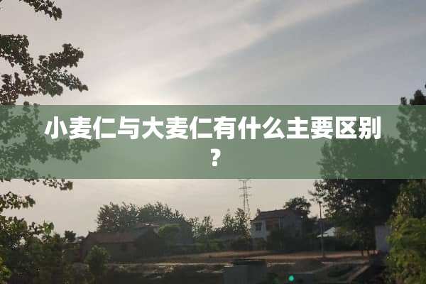 小麦仁与大麦仁有什么主要区别？