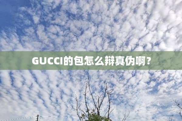 GUCCI的包怎么辩真伪啊？