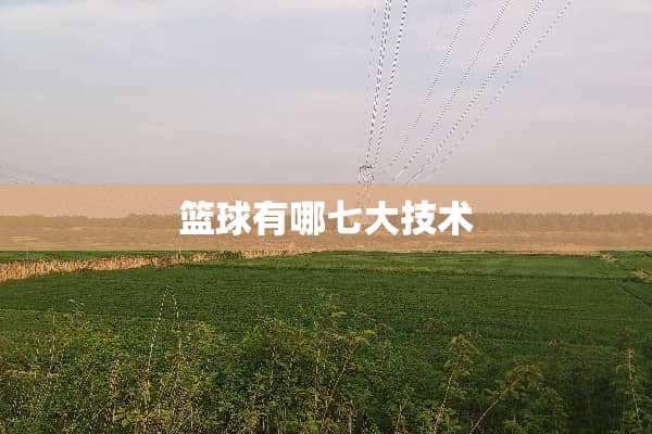 篮球有哪七大技术