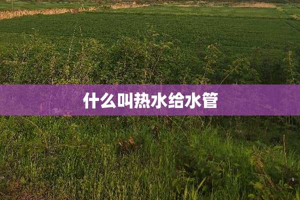 什么叫热水给水管