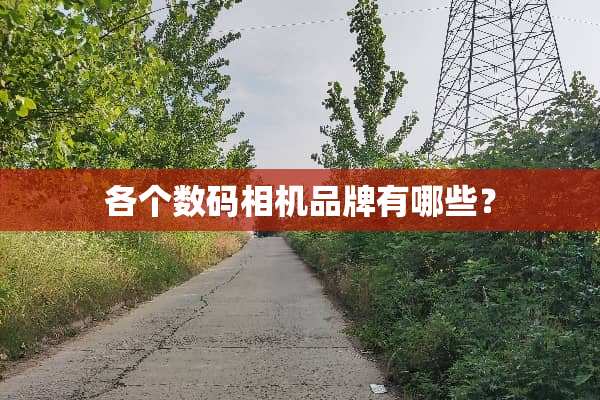 各个数码相机品牌有哪些？