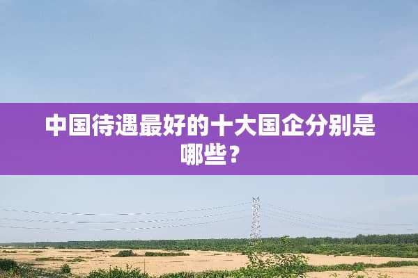 中国待遇最好的十大国企分别是哪些？