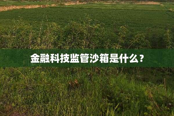 金融科技监管沙箱是什么？