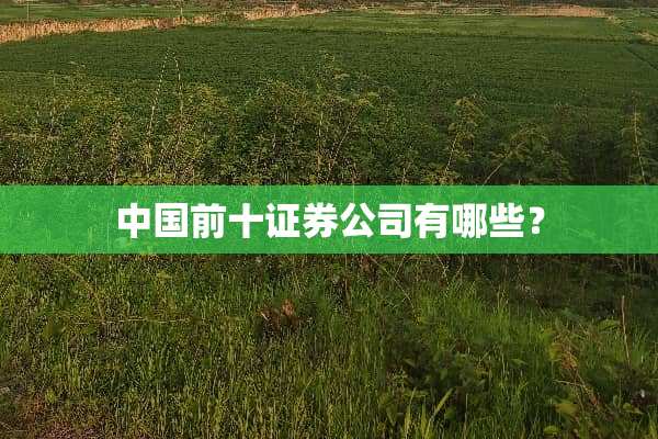 中国前十证券公司有哪些？