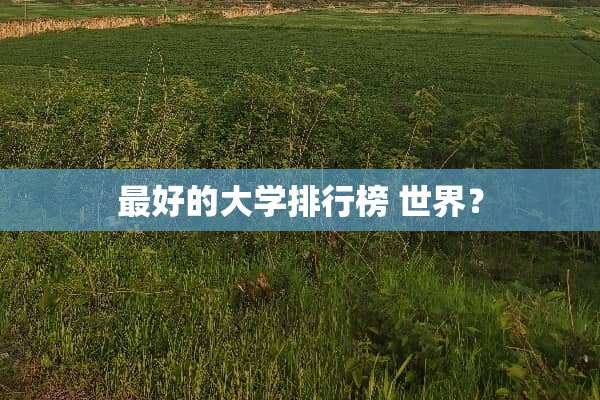 最好的大学排行榜 世界？