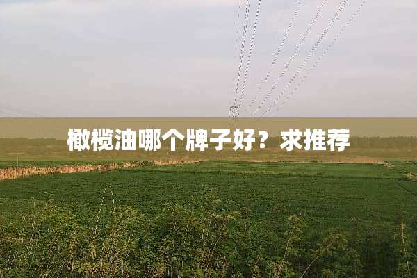 橄榄油哪个牌子好？求推荐