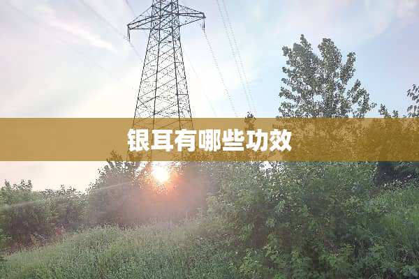 银耳有哪些功效