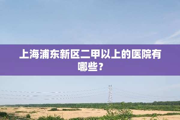 上海浦东新区二甲以上的医院有哪些？
