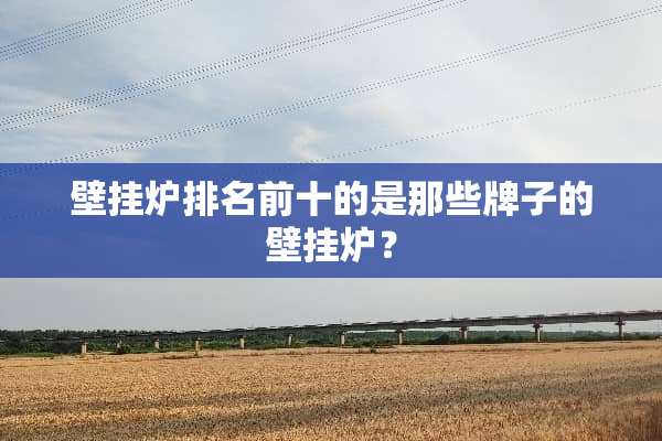 壁挂炉排名前十的是那些牌子的壁挂炉？