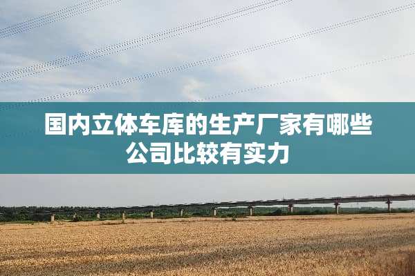 国内立体车库的生产厂家有哪些公司比较有实力
