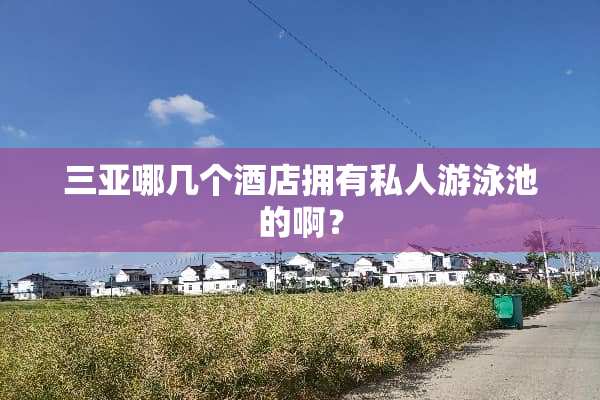 三亚哪几个酒店拥有私人游泳池的啊？