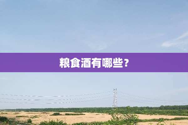 粮食酒有哪些？