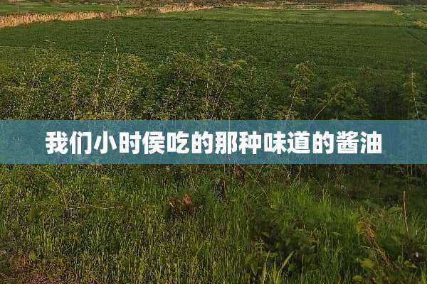 我们小时侯吃的那种味道的酱油