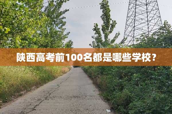 陕西高考前100名都是哪些学校？