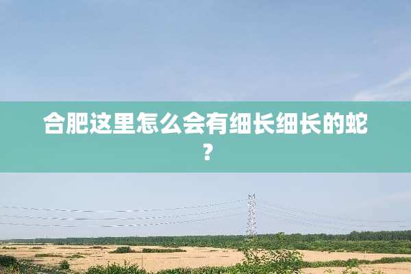 合肥这里怎么会有细长细长的蛇？