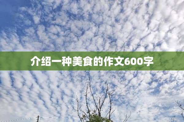 介绍一种美食的作文600字